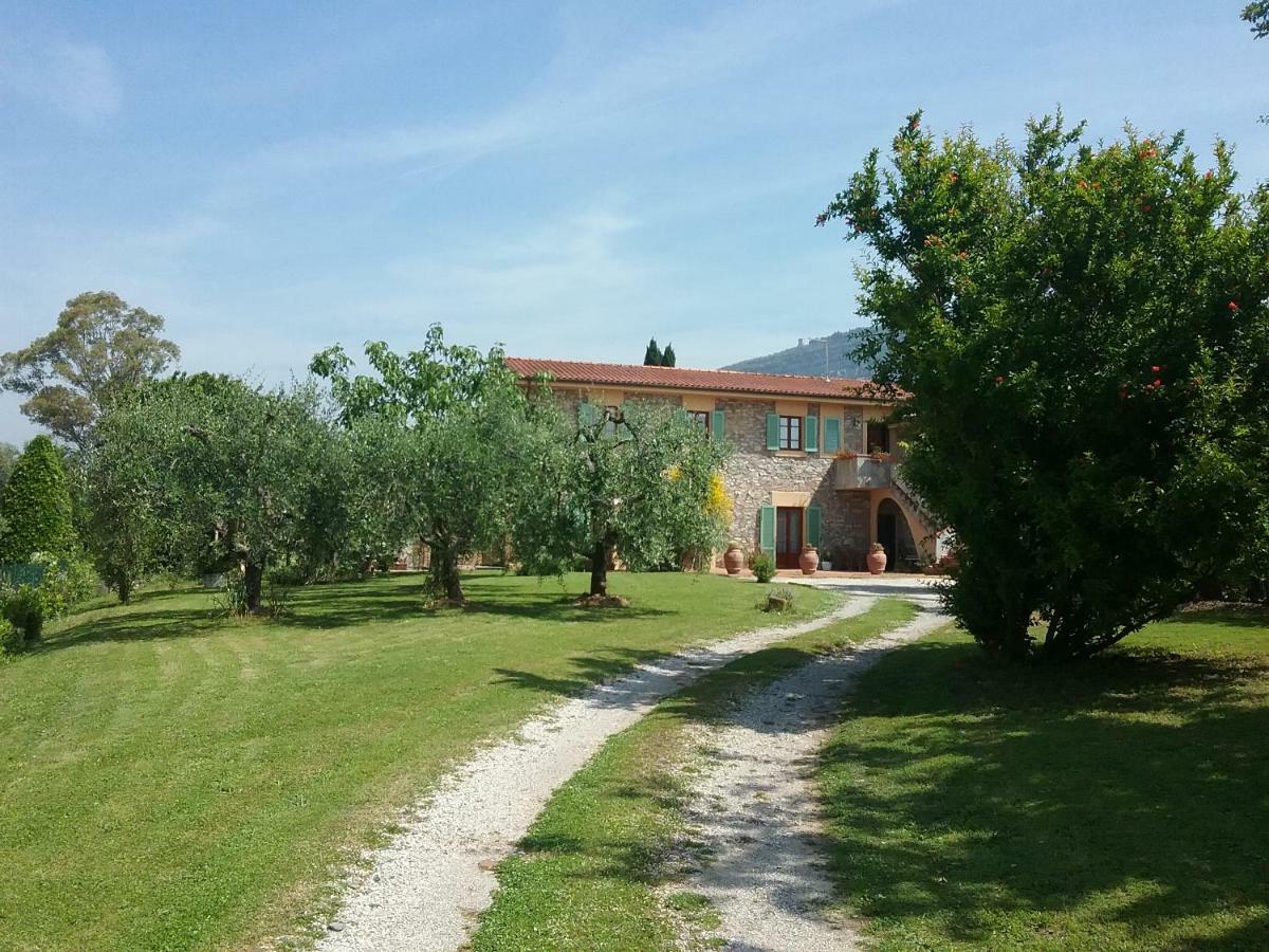 Locazione Turistica La Ginestra Daire Monsummano Terme Dış mekan fotoğraf